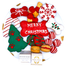 Christmas Themed Dog Treats Gift Box