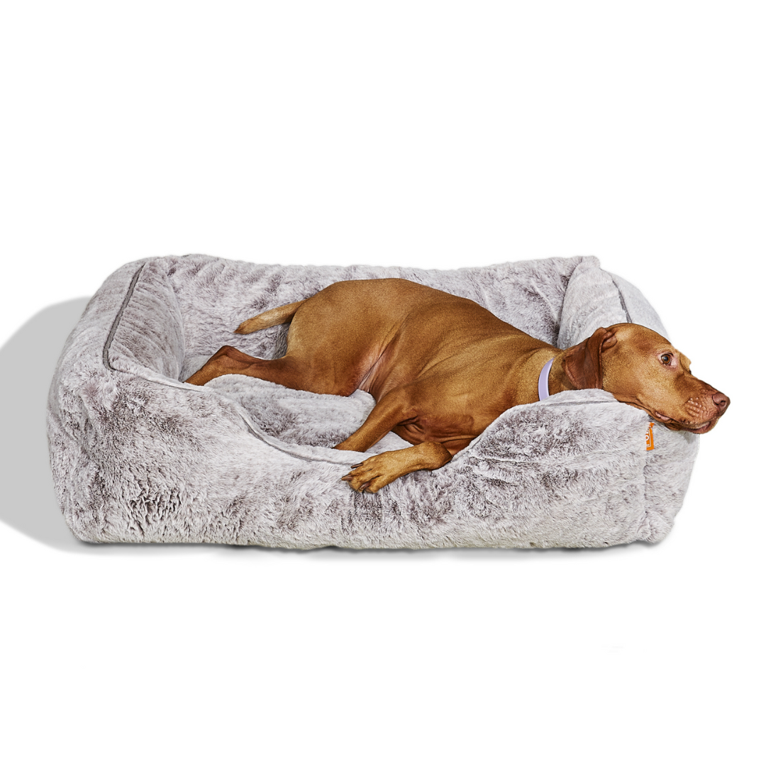 The Sammy Bolster Dog Bed