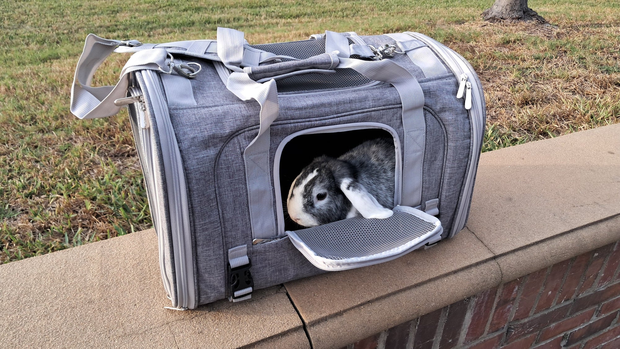 Mr. Peanuts Monterey Series Airline Compliant Horizontal Backpack Pet Carrier | HT Animal Supply