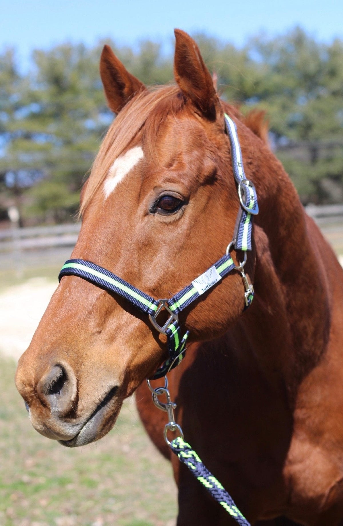 TuffRider Nylon Breakaway Halter & Lead Rope Set