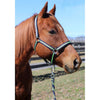 TuffRider Nylon Breakaway Halter & Lead Rope Set