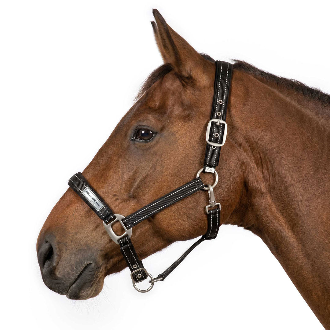 TuffRider SafeReset Breakaway Horse Halter