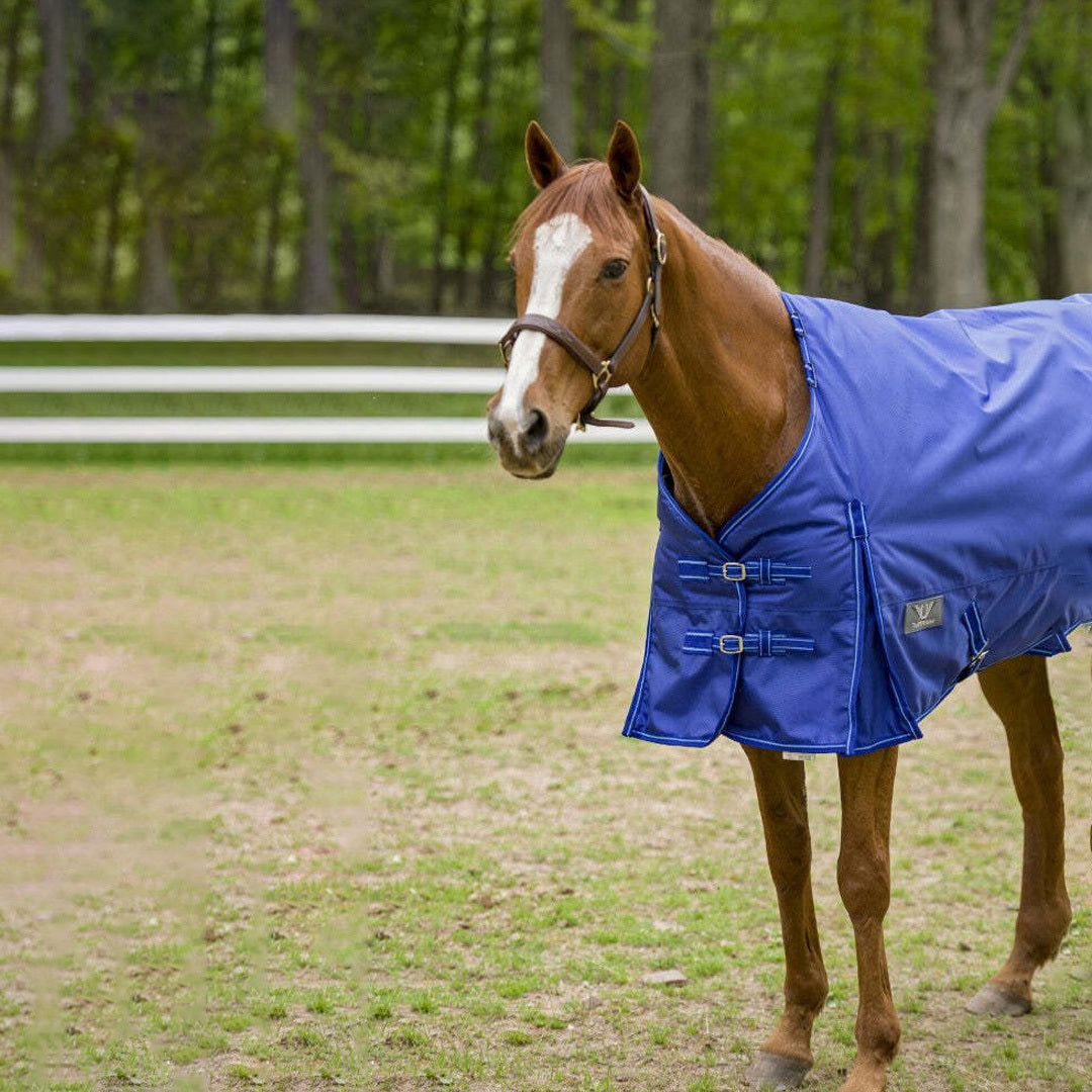 TuffRider 1680 D Super Comfy Winter Ripstop Turnout Blanket Heavy Weight 350 GSM Detachable Neck