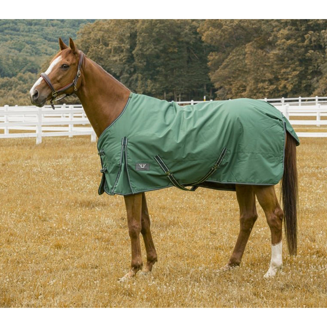 TuffRider 600 D Comfy Winter Ripstop Turnout Blanket Medium Weight 200 GSM Standard Neck