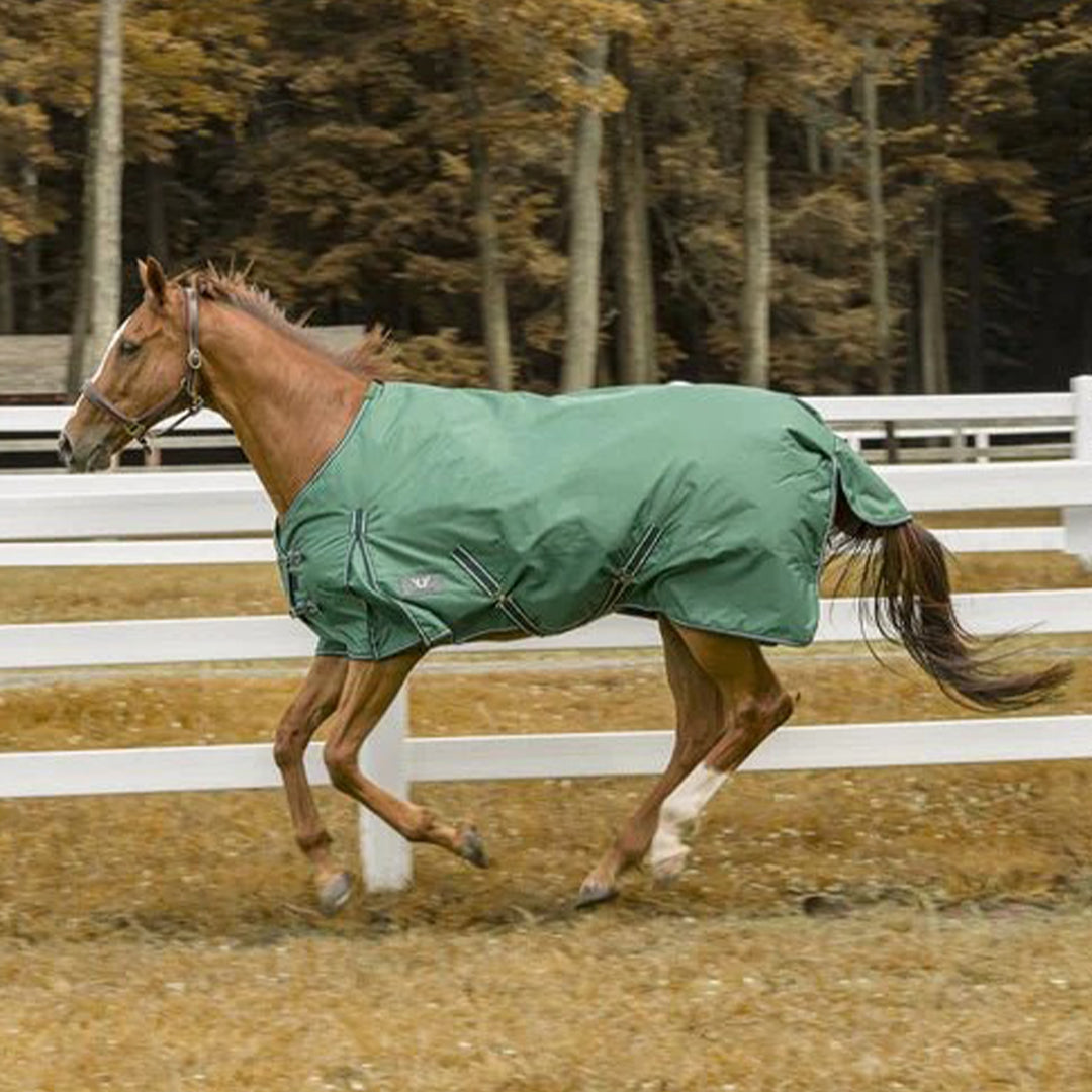 TuffRider 600 D Comfy Winter Ripstop Turnout Blanket Medium Weight 200 GSM Standard Neck