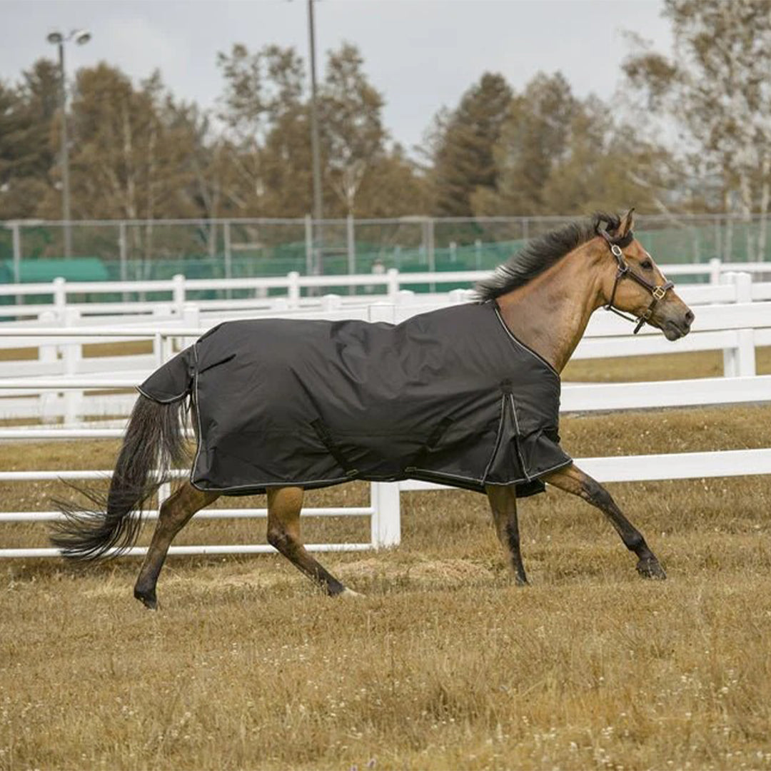 TuffRider 600 D Comfy Winter Ripstop Turnout Blanket Medium Weight 200 GSM Standard Neck