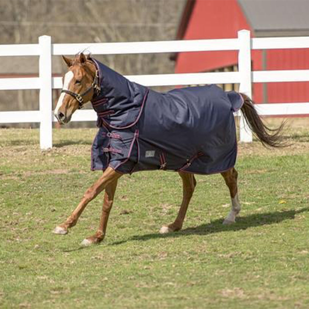 TuffRider 1200 D Winter Comfy Heavy Weight Detachable Neck Ripstop Turnout Blanket w/ 350 GSM of fill