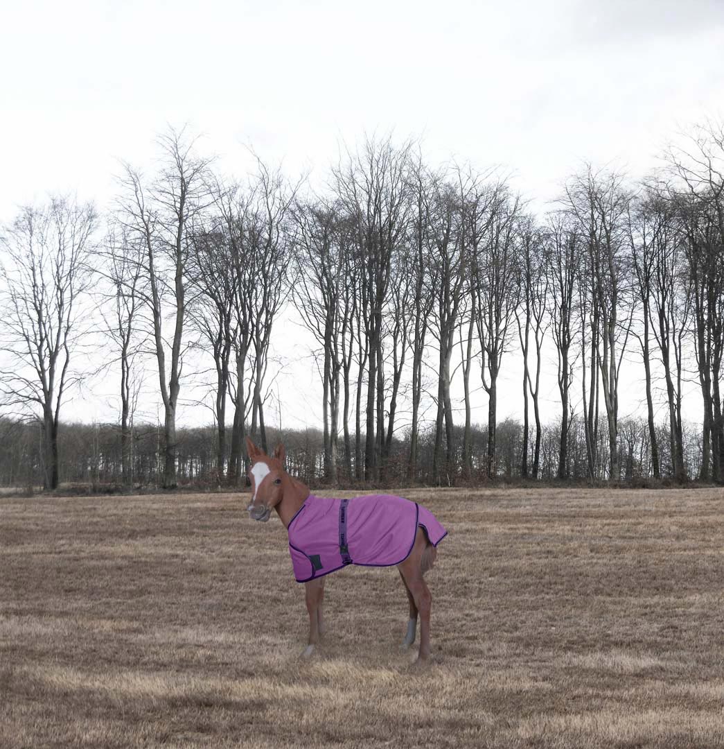 TuffRider 1200D Ripstop Foal Adjustable Turnout Blanket 220GSM Fill