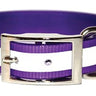 Purple SunGlo Reflective Collars