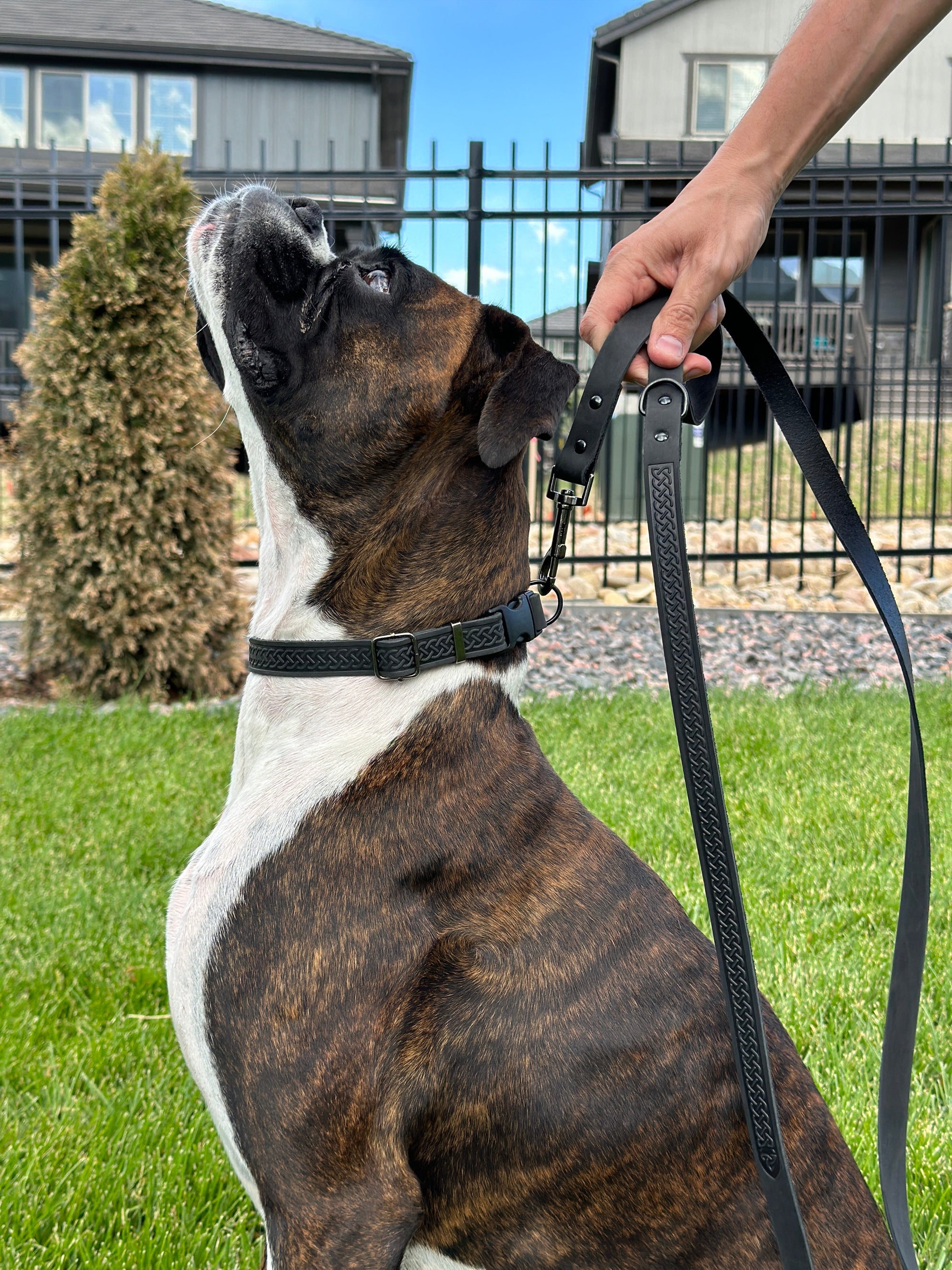 Euro-Dog Celtic Sport Leather Dog Leash