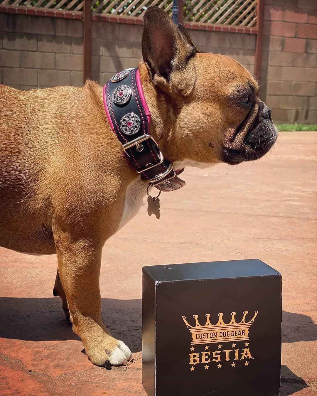 Bestia Bijou Black & Pink Leather Dog Collar