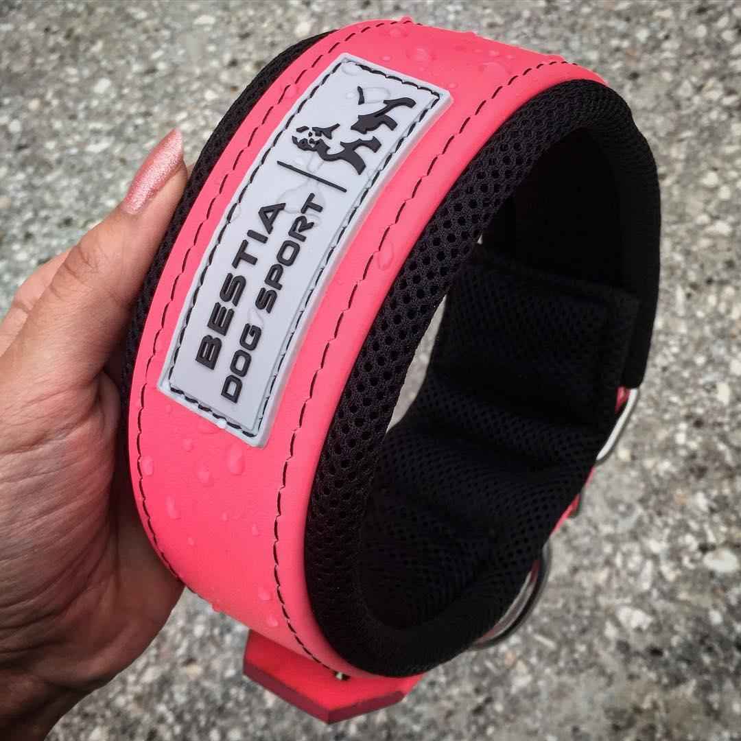 Bestia Dog Sport Neon Pink Dog Collar