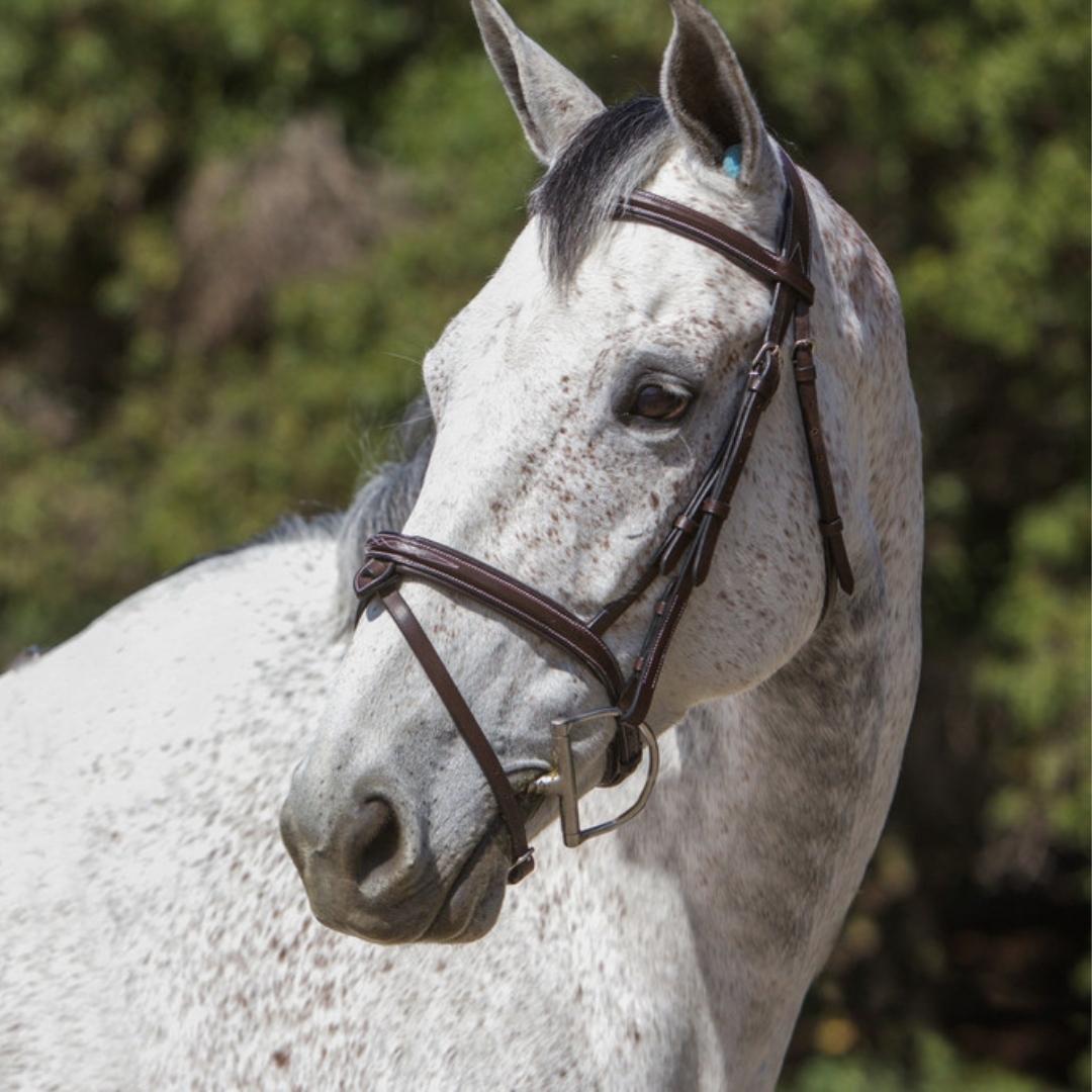 ExionPro Designer Stitched Mono Crown Piece Snaffle Bridle With Rubber Reins | HT Animal Supply