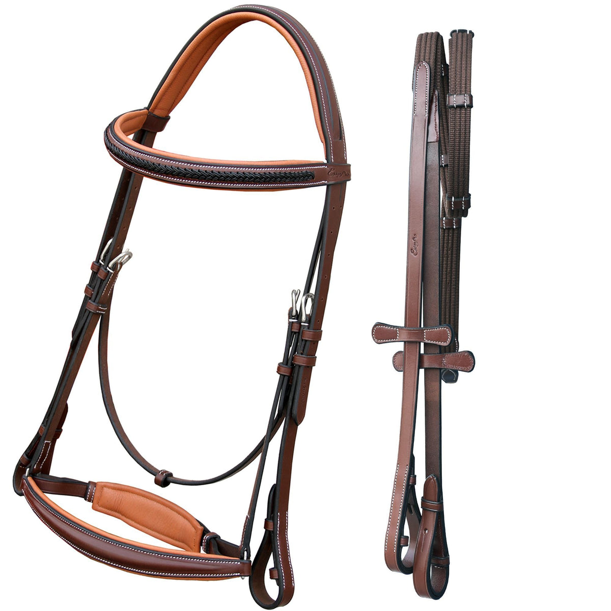 ExionPro Net Braided Browband & Dressage Bridle with Web Reins - HT Animal Supply