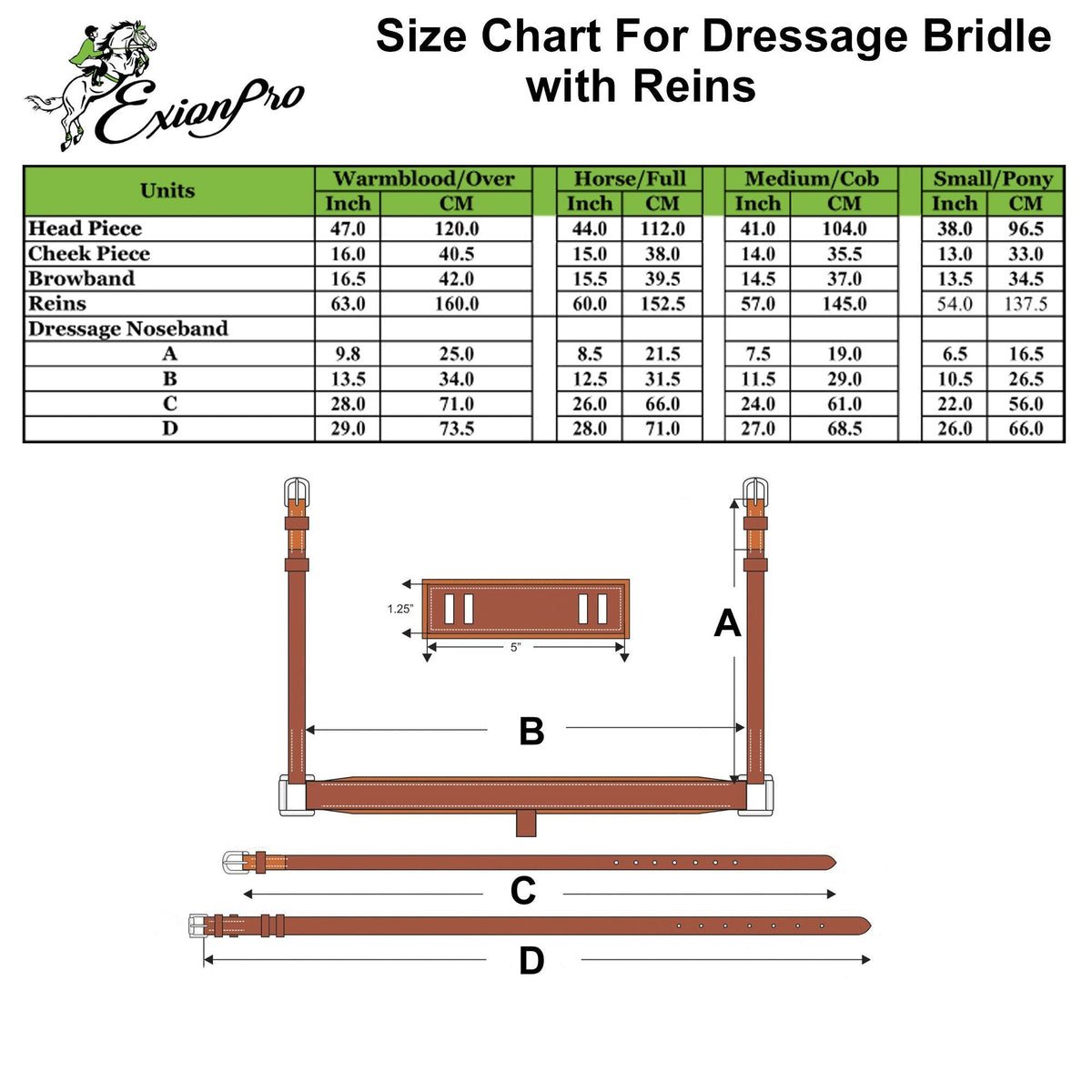 ExionPro Net Braided Browband & Dressage Bridle with Web Reins - HT Animal Supply