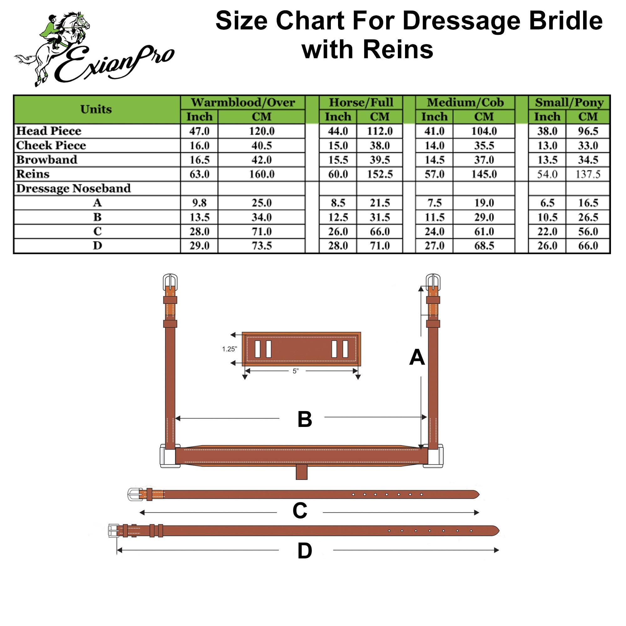 ExionPro Net Braided Browband & Dressage Bridle with Web Reins - HT Animal Supply