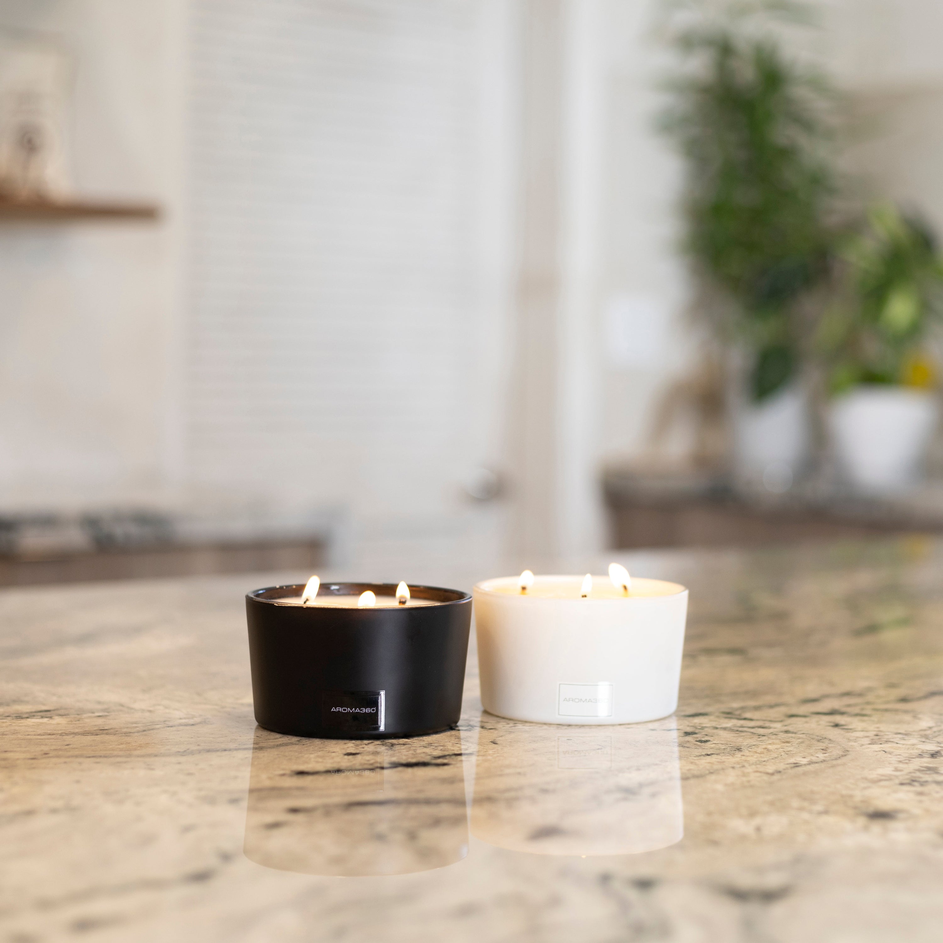 Déjà Vu 3-Wick Candle - HT Animal Supply