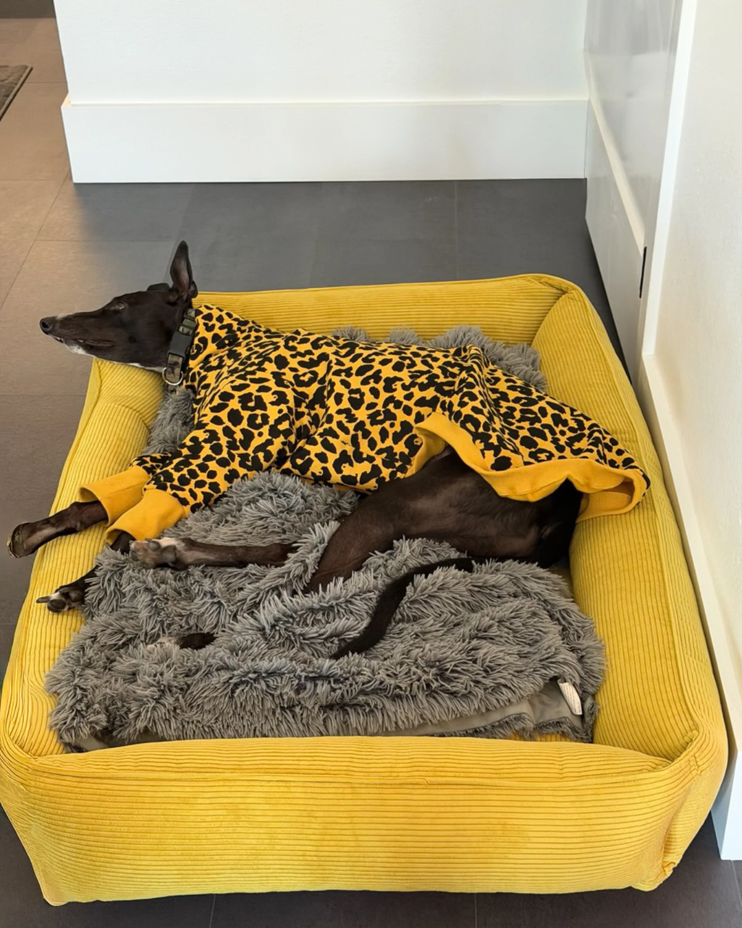 Chester & Lee | Fancy Corduroy Sleeper Dog Bed Sunny Yellow | HT Animal Supply