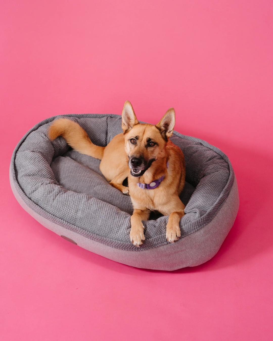Chester & Lee | Furry Bagel Dog Bed | HT Animal Supply