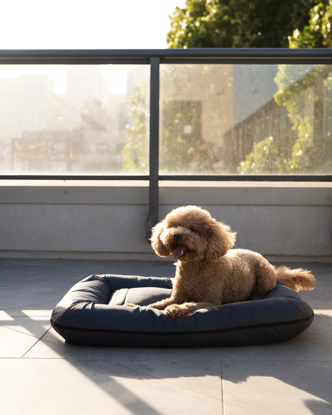 Chester & Lee | Waterproof Lounger Dog Bed Gray | HT Animal Supply