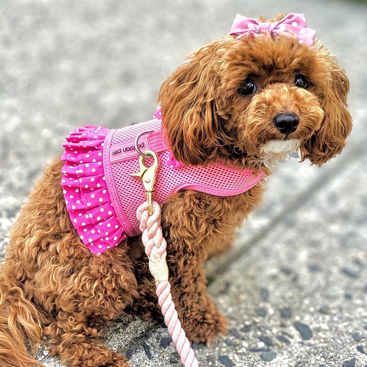 Parisian Pet Polka Dot Harness Dress for Dogs & Cats  Fashionable Pet Dress with Adjustable Harness, Comfortable Fit, Pink