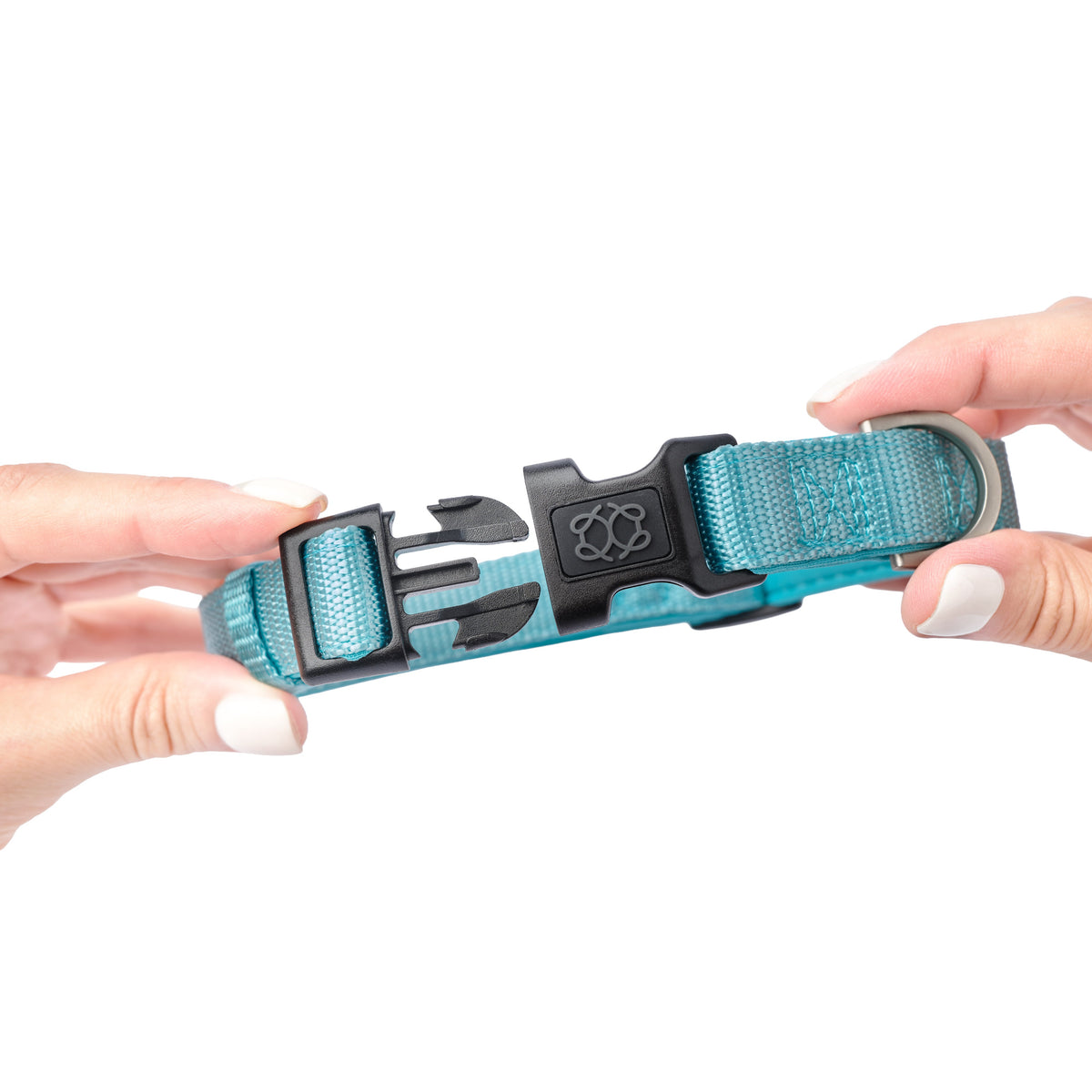 DOGISTRY City Dog Collar - Fifth Avenue