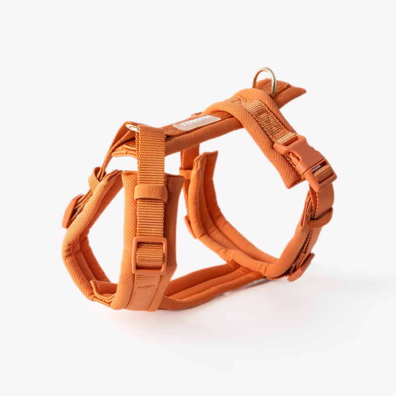 Terracotta - Comfort Dog Harness - This harness is all about giving your dog that just-right fit with the comfort they deserve. Fast shipping from HT Animal Sup