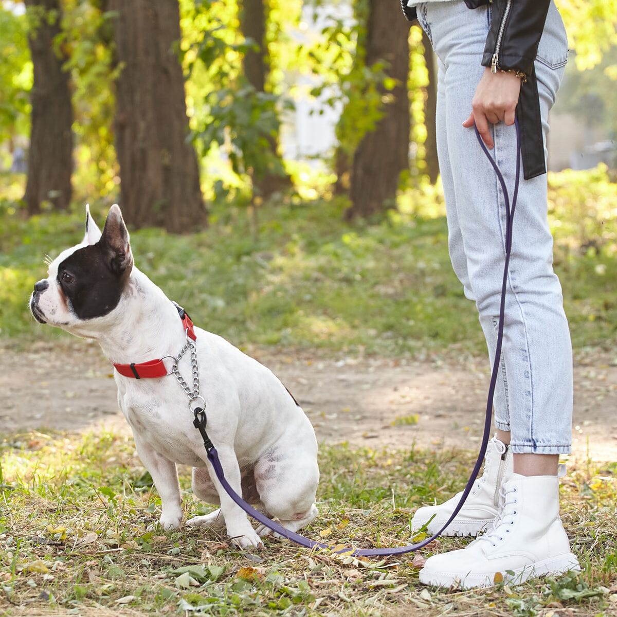 Dogline BioThane Waterproof Traffic Dog Lead for Dogs, 2 ft