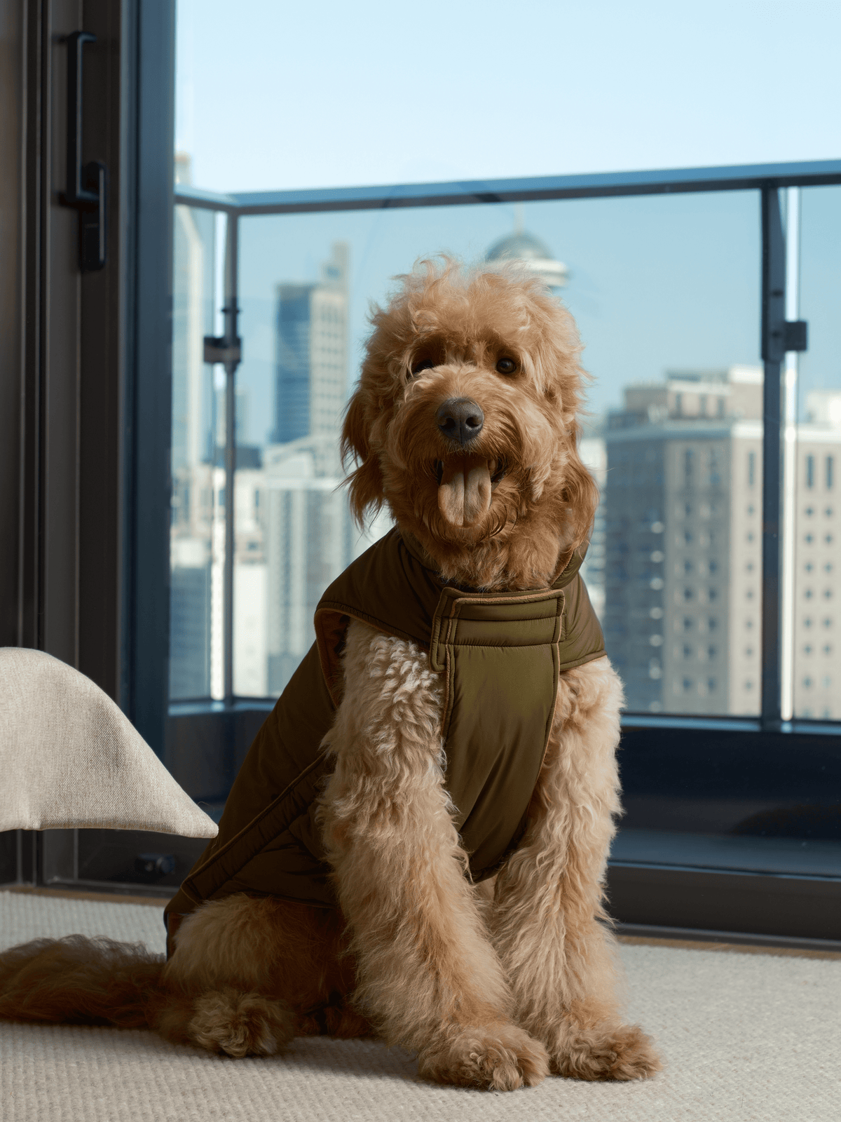 Reversible Dog Vest Jacket-Green Brown