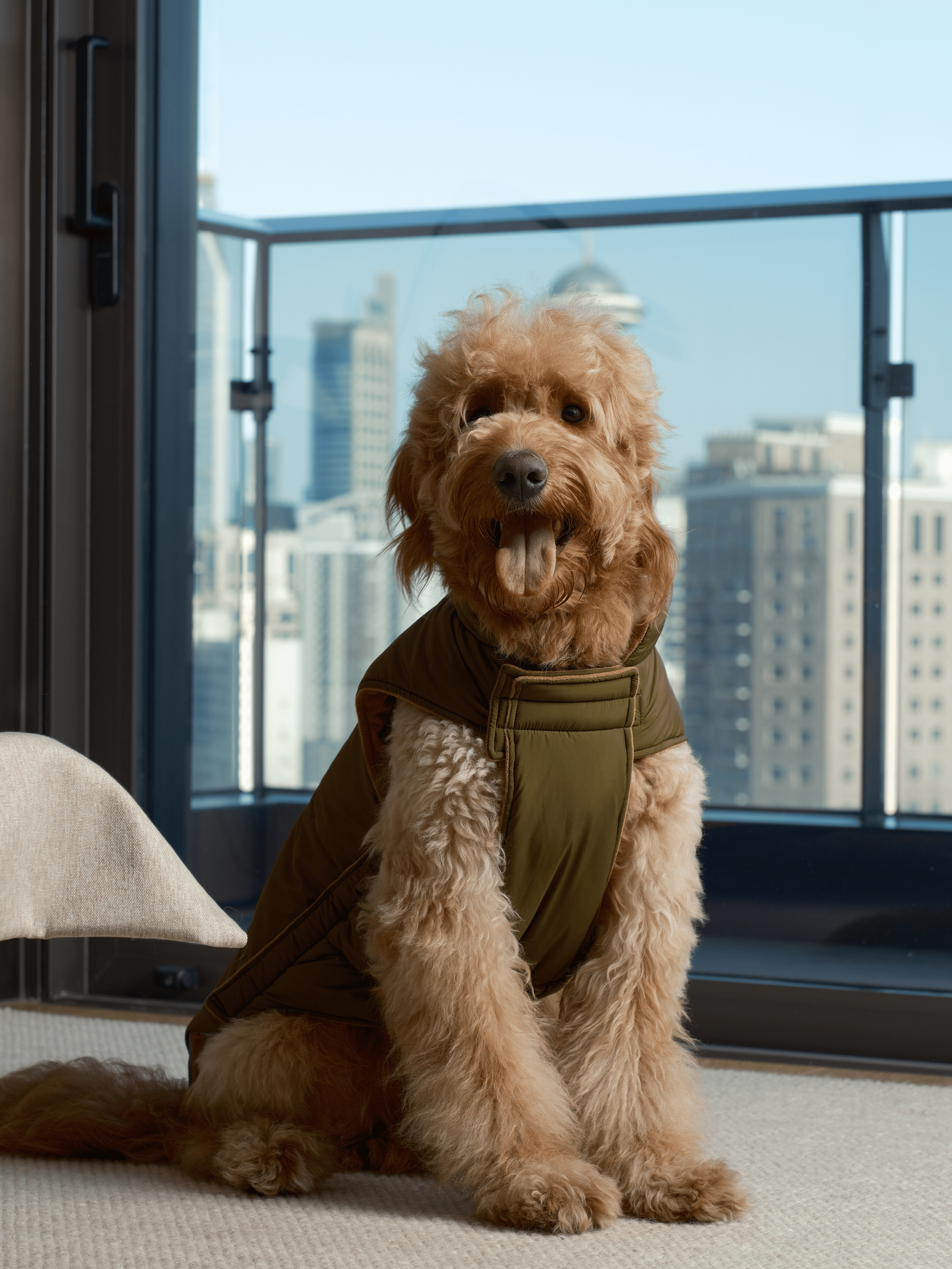Reversible Dog Vest Jacket-Green Brown