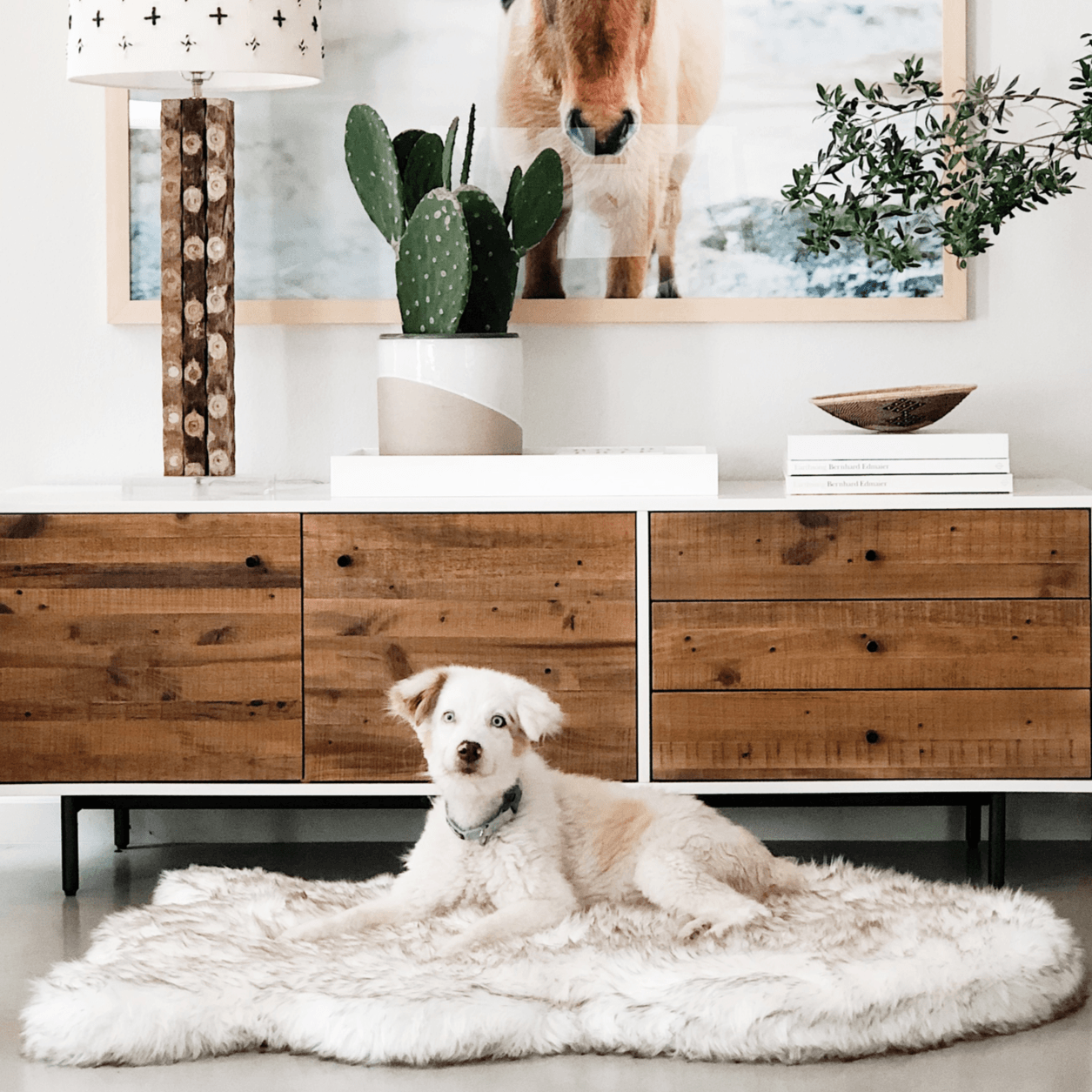 Puprug Faux Fur Orthopedic Dog Bed Curve White with Brown Accents