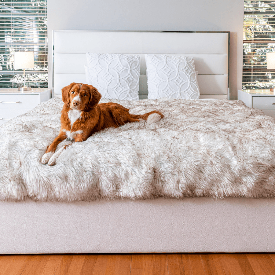 PupProtector Waterproof Throw Blanket White with Brown Accents 