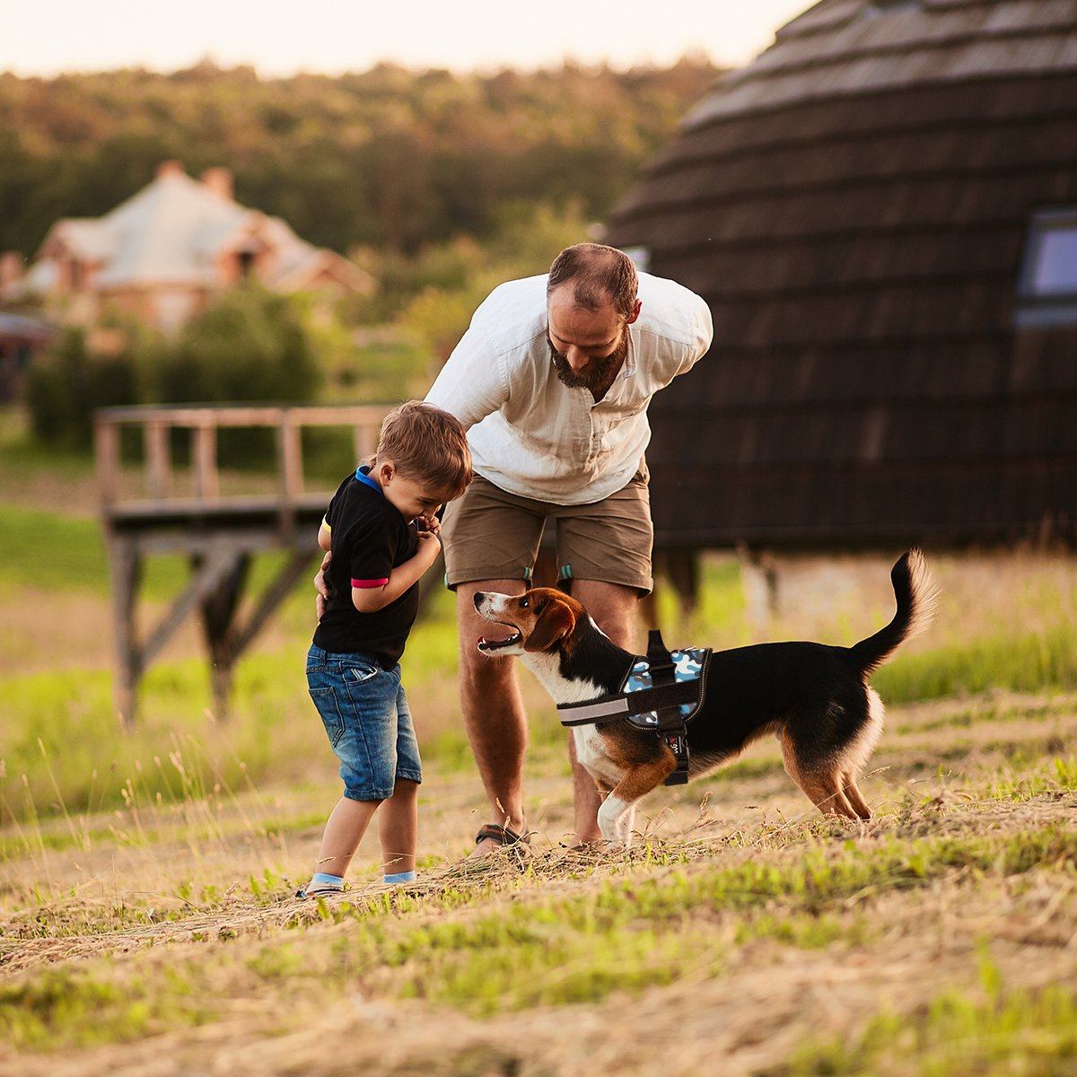 Dogline Unimax Multi-Purpose Dog Harness