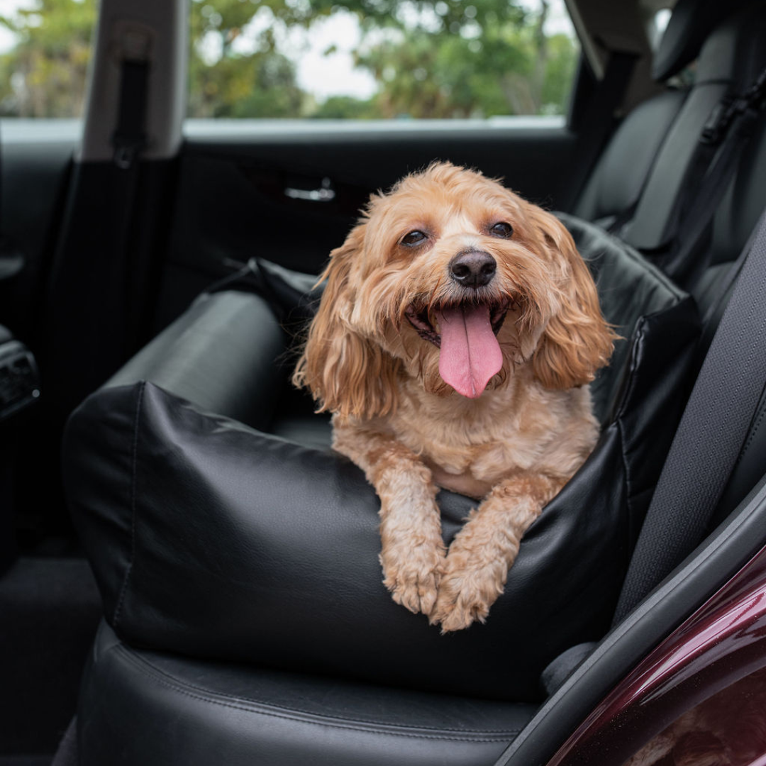 Pupprotector Faux Leather Memory Foam Dog Car Bed Black
