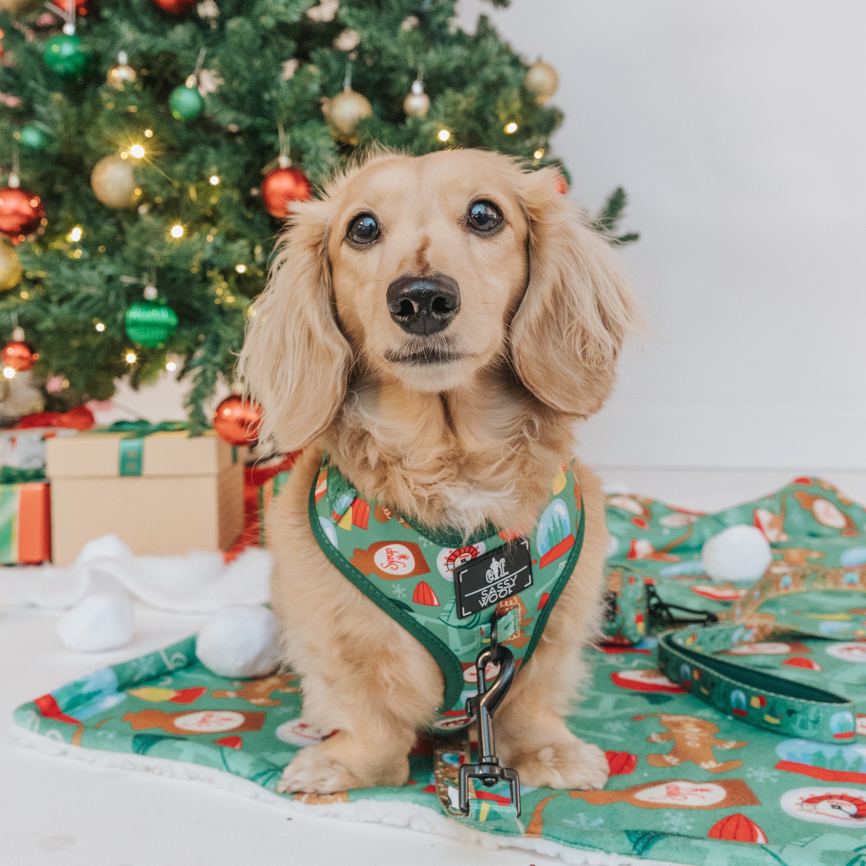 Dog Adjustable Harness - Elf™