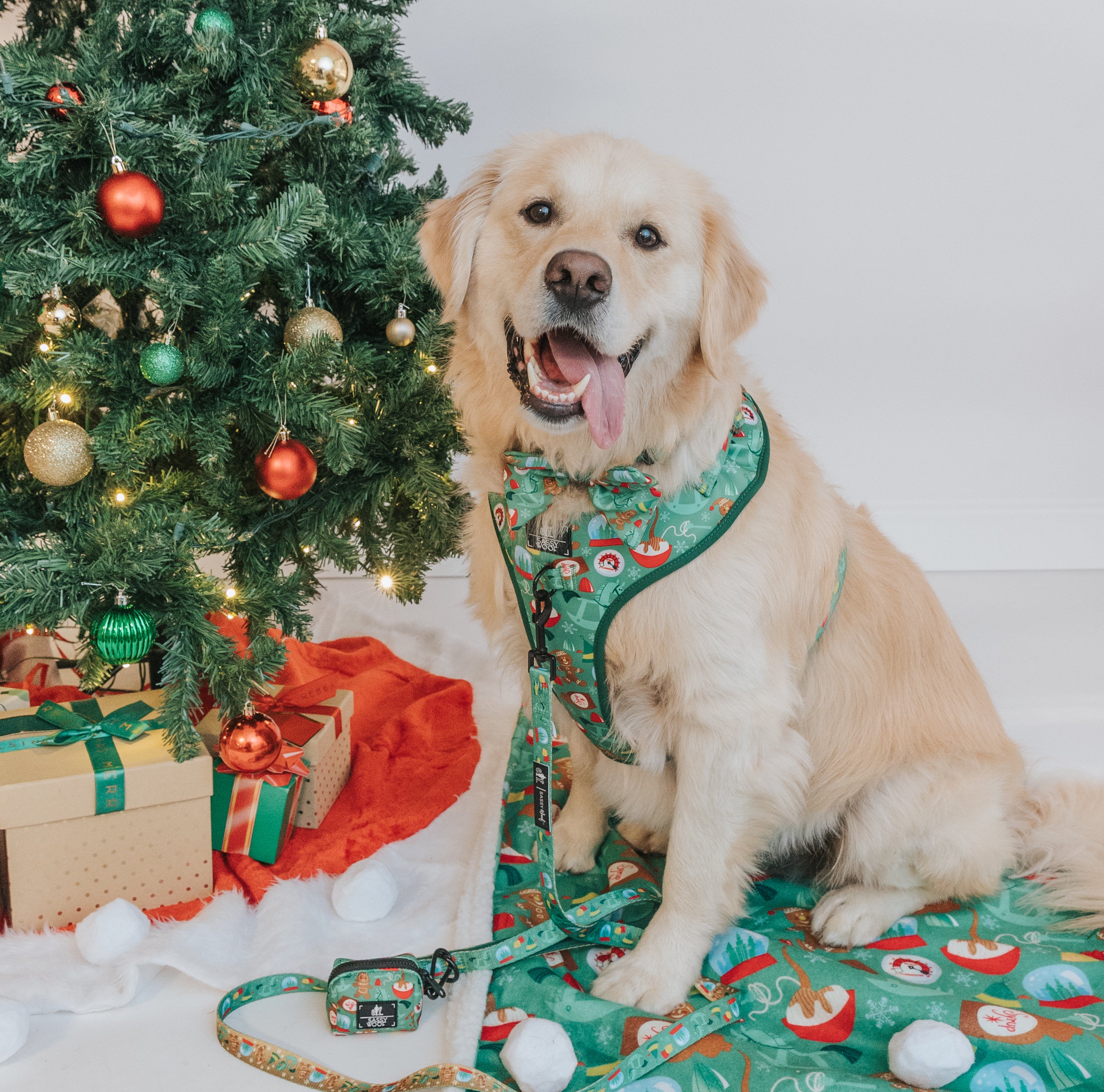 Dog Adjustable Harness - Elf™