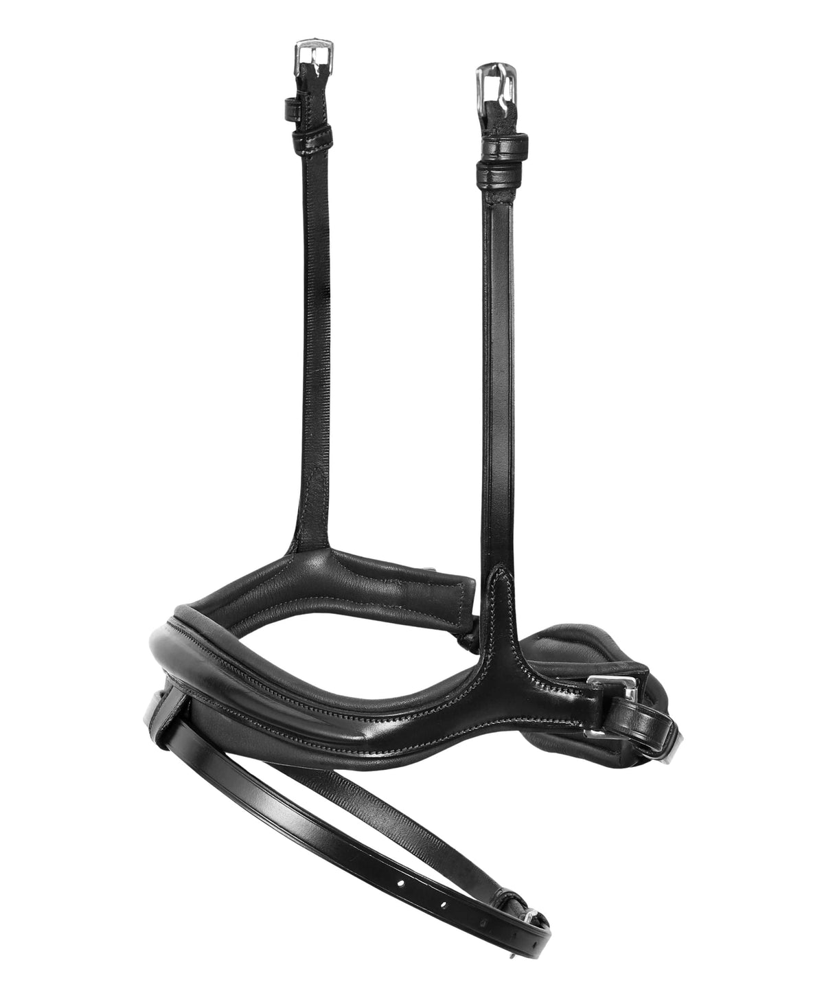 ExionPro Ursa Anatomic Dressage Bridle With Reins