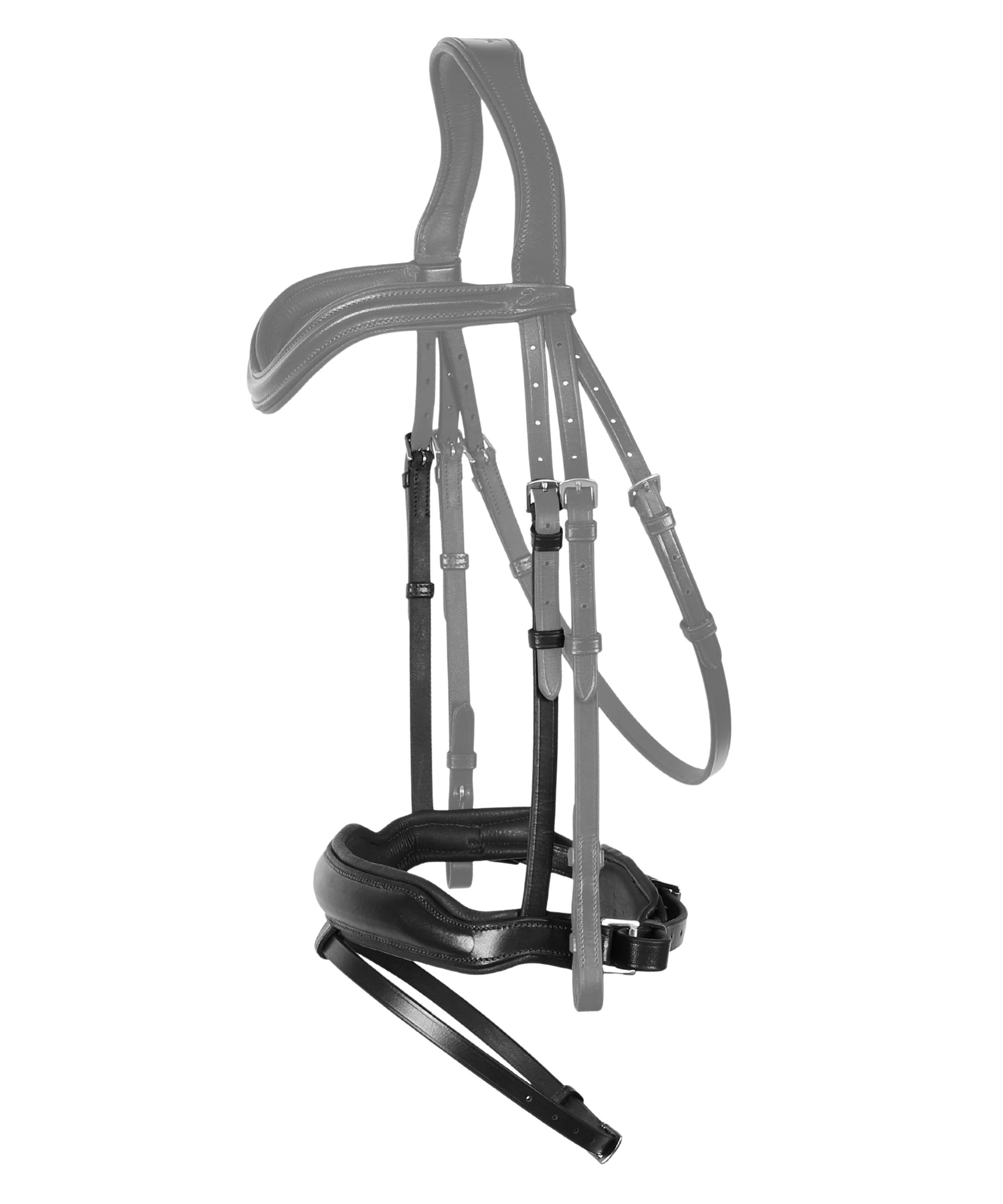 Replacement Noseband of ExionPro Leo Classic Dressage Bridle | HT Animal Supply