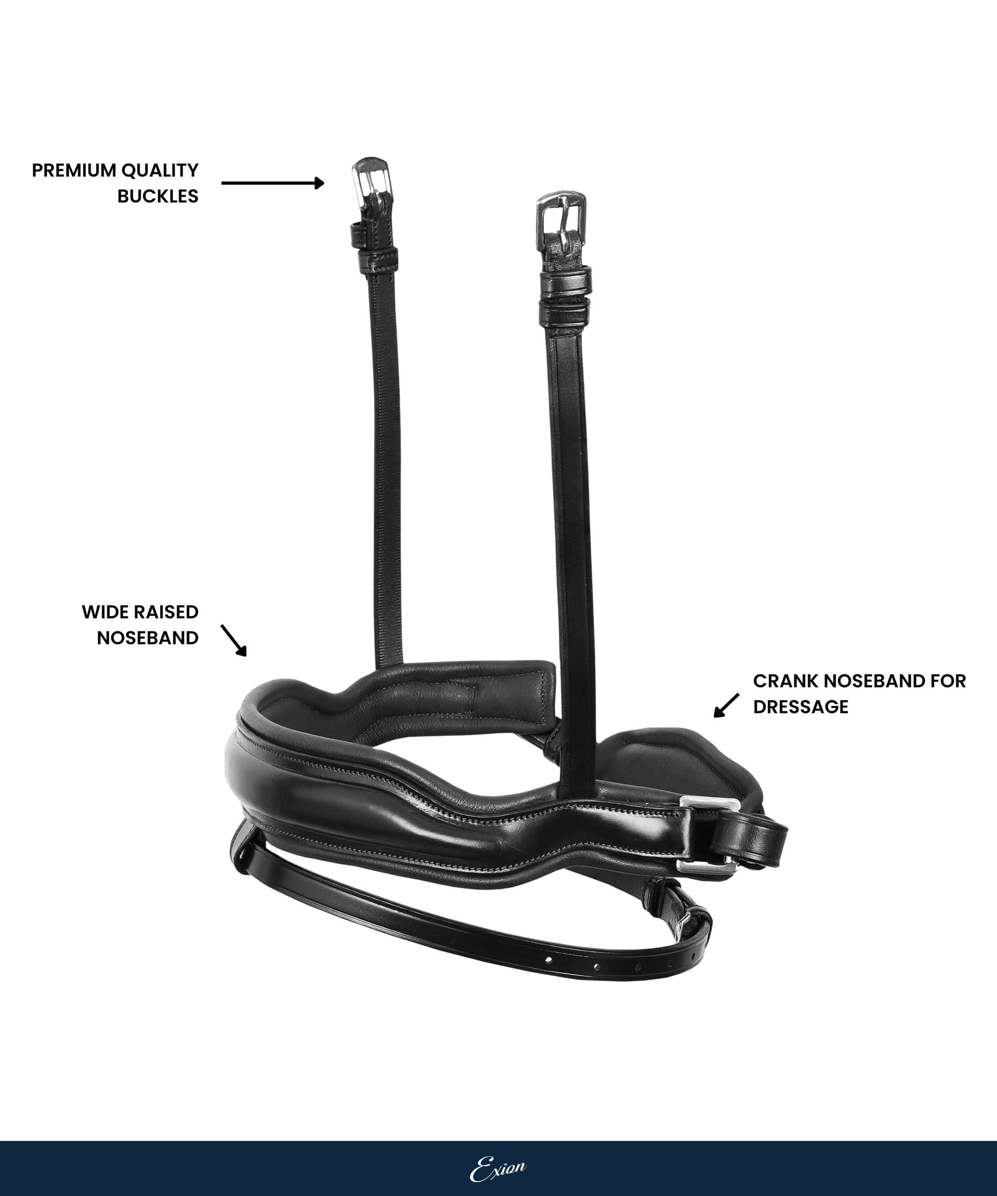 Replacement Noseband of ExionPro Leo Classic Dressage Bridle - HT Animal Supply