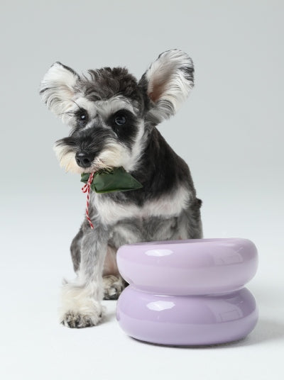 Souffle Pet Bowl-Purple