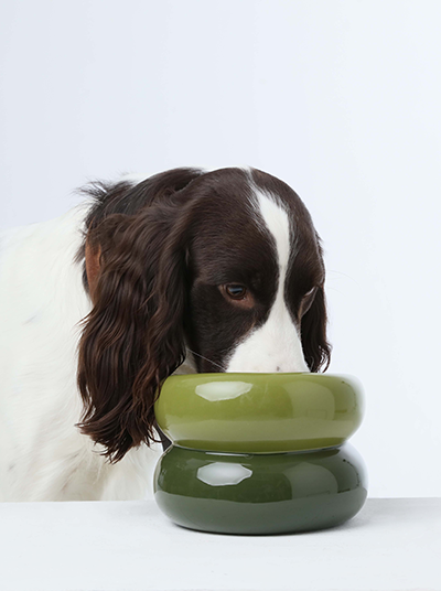 Souffle Pet Bowl-Avocado Green