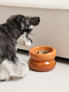 Souffle Pet Bowl-Amber Orange