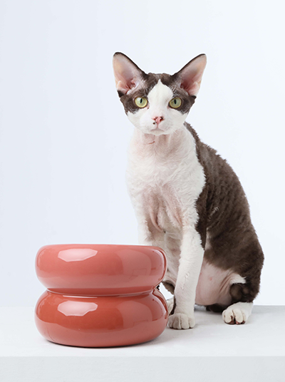 Souffle Pet Bowl-Rose Pink