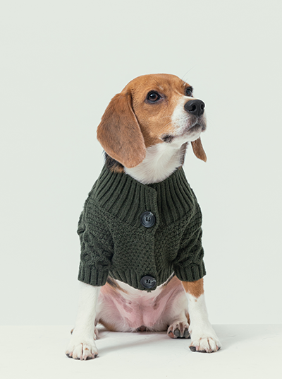 Bert Cardigan Sweater-Dark Green
