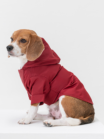 Tribeca Adjustable Velcro Raincoat-Burgundy