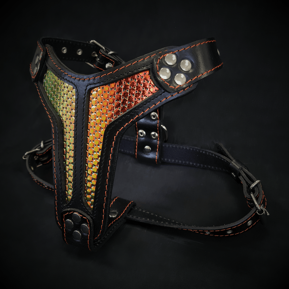 Bestia D'Albertis Leather Medium Dog Harness