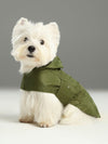 Capsule Raincoat-Green