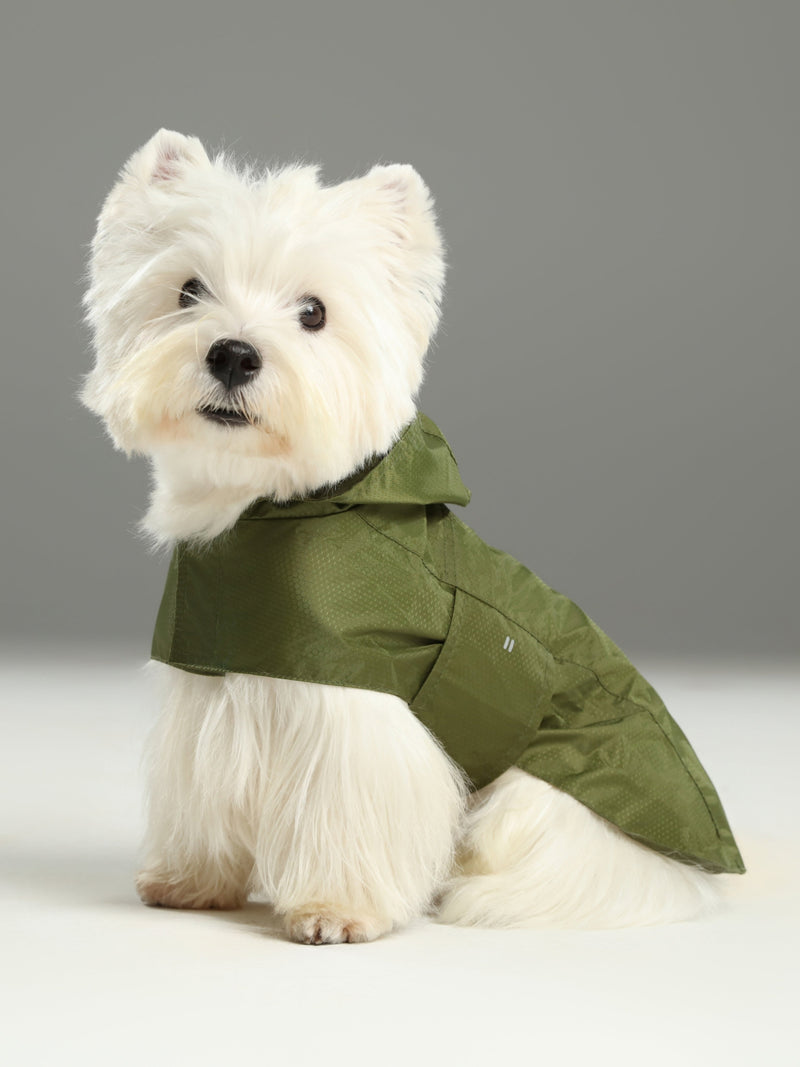 Capsule Raincoat-Green