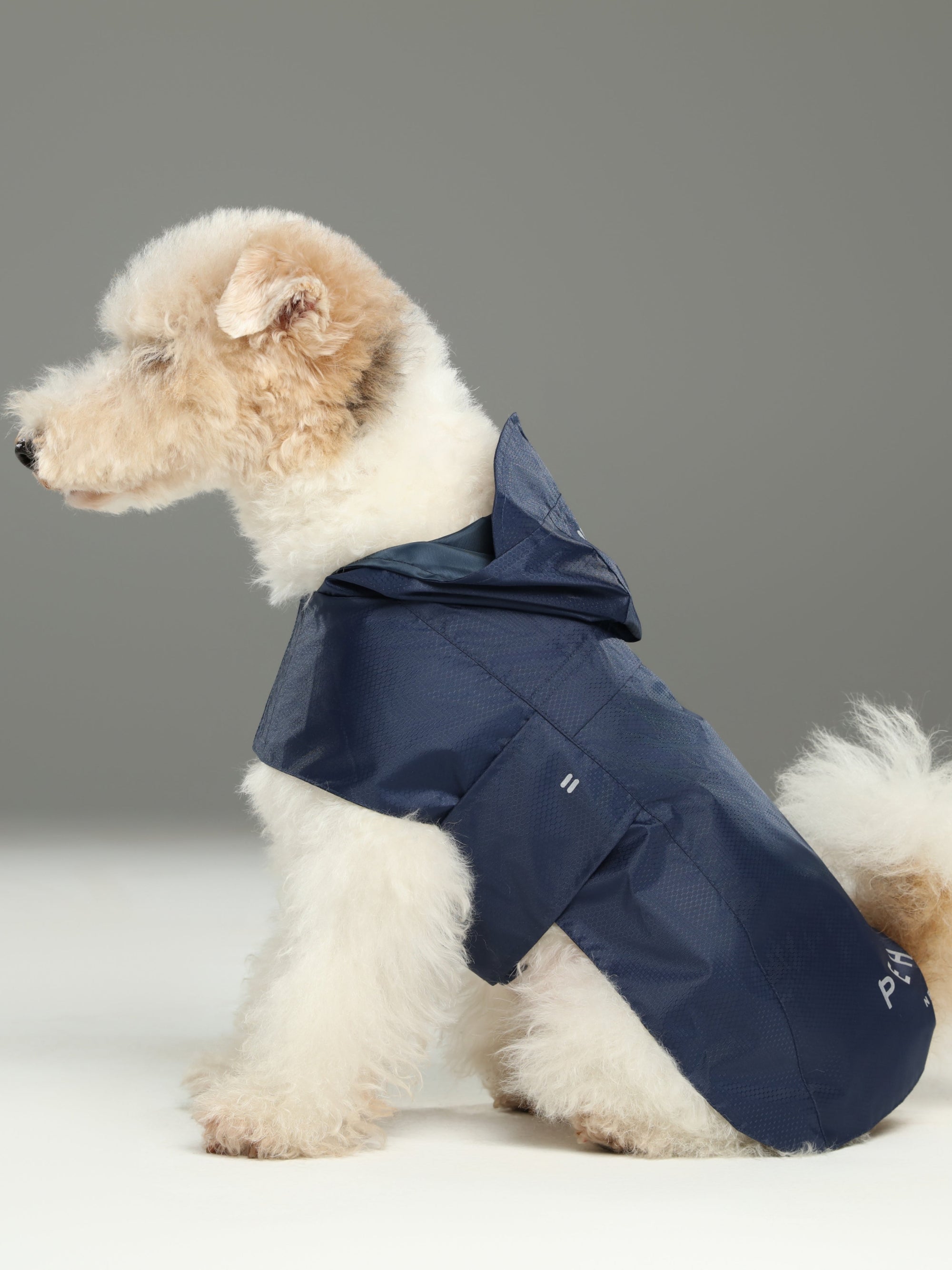 Capsule Raincoat-Blue