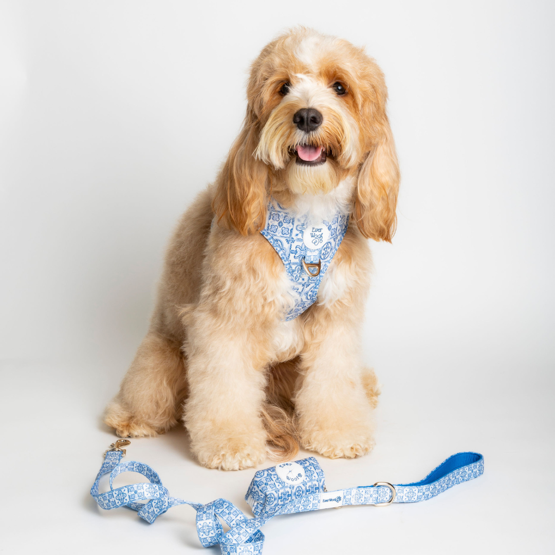 Santorini Adjustable Harness